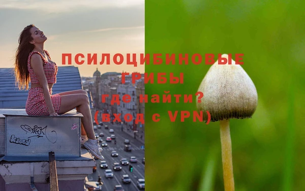 МДПВ Сосновоборск