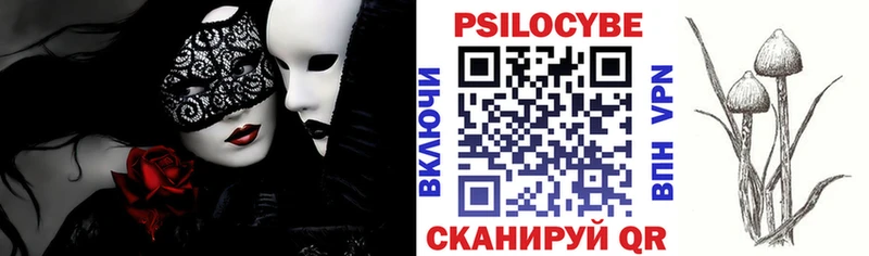 блэк спрут зеркало  Великий Новгород  Галлюциногенные грибы Magic Shrooms 