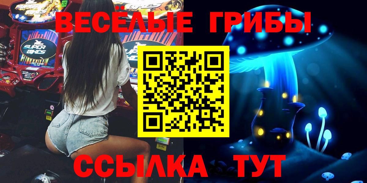 Великий Новгород  Галлюциногенные грибы прущие грибы  Вход с VPN  Псилоцибиновые грибы GOLDEN TEACHER 