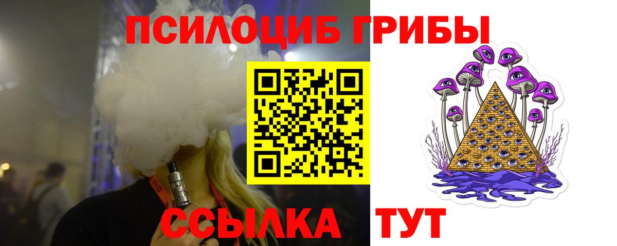 Галлюциногенные грибы Cubensis  Великий Новгород 